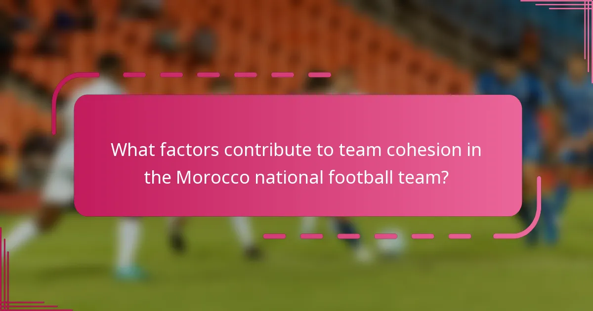 What factors contribute to team cohesion in the Morocco national football team?